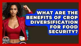 What Are The Benefits Of Crop Diversification For Food Security? - Socialism Explained