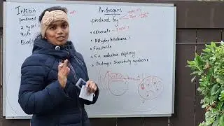 Androgens  / 5 alpha reductase def / Androgen insensitivity syndrome and Inhibin 