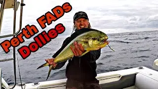 Perth Mahi Mahi Action at the Recfishwest FAD 5 ⚓