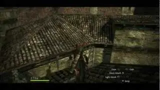 Dragon's Dogma 021   Search Party [3rd Journal]