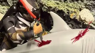 SHARK ENCOUNTER!!!