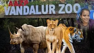 Vandaloor zoo visit with family and friends | #animals #outing 