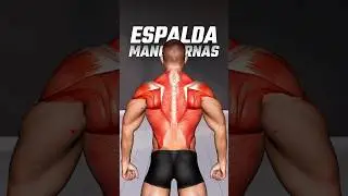 Destaca por tener la mejor espalda desde casa con mancuernas. 💪
