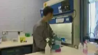 Half Rat/ Half Robot