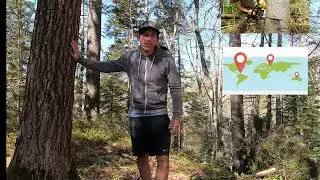 Chain of Custody Explained