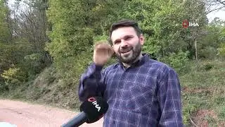 AYILAR TIRMANDIKLARI AĞA&Ccedil;TA MEŞE PALAMUDU YEDİLER
