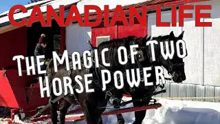TWO Horse Power pulling thousands of pounds through a winter wonderland.