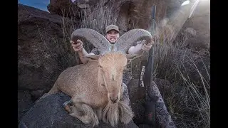 Texas Aoudad Sheep Hunt With Snowy Mountain Rifles | BaseMap | Wildhorse Motion