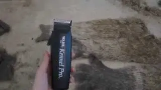 Fursuit Tutorial: Neatening Shaved Fur
