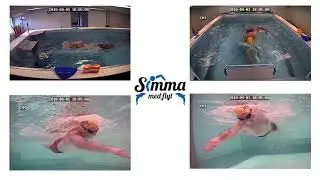 Endless pool 2019