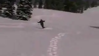 More Bideck Powskating