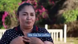 The Genuine Origin Coffee Project | Honduras