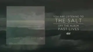 Doombird - The Salt (Track Video)