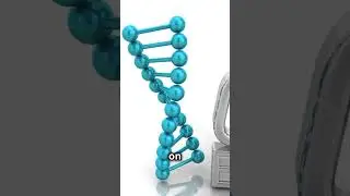 Natural Breeding vs Genetic Engineering: What's the Difference?