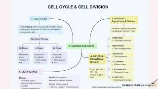 Cell cycle and cell division #short notes#mind map 🗾🗺️