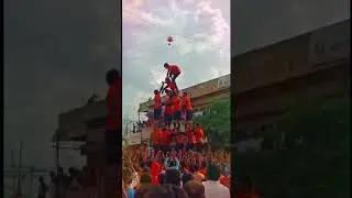 Dahi handi status || Dahi handi WhatsApp status ||