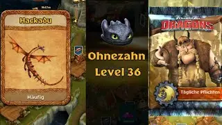 Ohnezahn / Hackadu / T&auml;gliche Pflichten - Dragons : Aufstieg von Berk[ #117 Let Play ]Deutsch/German