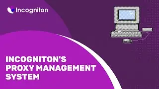 Incogniton's proxy management system