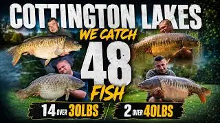 Carp Fishing Cottington Lakes 2016 (Including 14 fish over 30lbs to 41lbs)