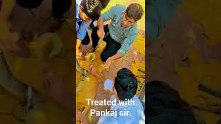 (Treated with Pankaj sir)#ahdp #education #ahdp_diploma #science