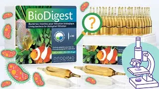 DENTRO DE LAS AMPOLLAS BIODIGEST DE PRODIBIO? - ACUARIOFILIA JEREZ