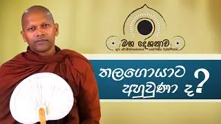 තලගොයාට අහුවුණා ද?
