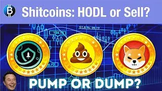 Shitcoin cryptos vs Fundamental cryptocurrencies - 1000x alt coins 2021
