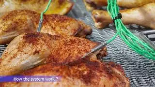 PHOENIXTM「FOS14」Thru-Process Food Temperature Profiling for HACCP Food Cook Validation l PP Systems