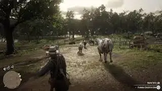 Can you ride a cow/bull in red dead redemption 2?