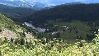 La vallée de Munster - les crêtes