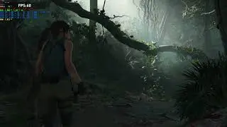 RX Vega - Shadow of the Tomb Raider Benchmark [Highest/1440p]