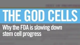 Why the FDA is slow on stem cells - 