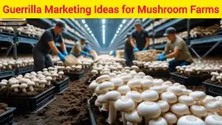 Guerrilla Marketing Ideas for Mushroom 🍄 Farms
