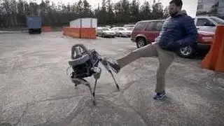 Stop robot abuse.