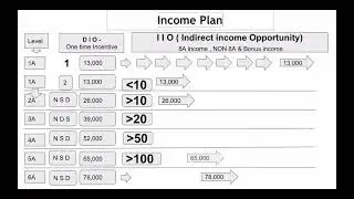 Enagic Business Plan BEST EXPLAINED