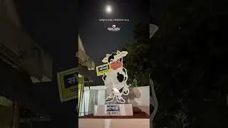 Indapur Sonai exhibition 2024#trend #trends #reels #reelsindiateamwork #indapur #sonai #deepakarts