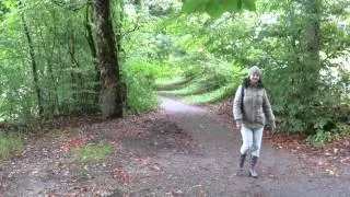 Munich Parks - Brunnbachleite