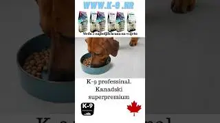 K9 shop professional