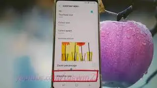 Android Nougat : How to Change Magnifier size Assistant menu in Samsung Galaxy S8 or S8+