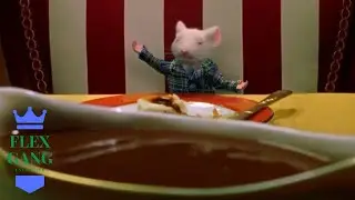Lil Stuart Little & Yung BINK$ - 