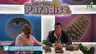 Berries Paradise, empresa mexicana y de mexicanos, ubicada en el top de exportadoras de berries.