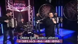 Predrag Drezgic Presa - Razbolje se srce moje - (Live) - Zapjevaj uzivo - (Renome 28.03.2008.)