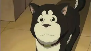 Bleeding Out - Riza Hawkeye AMV