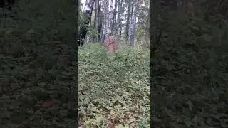 Было Капище - стало Кладбище  #охотник  #энергия  #гаввах