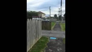 mount Roskill , Auckland NZ