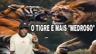 3 CONFLITOS REAIS ENTRE TIGRES & LE&Otilde;ES 