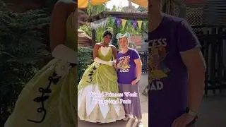 Disney Princess Magic at Disneyland Paris! #disney #princess #magic #royal #fun #minniemouse #joy