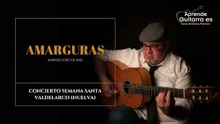 😱❤️️Amarguras Guitarra Flamenca. Versi&oacute;n de la marcha Amarguras