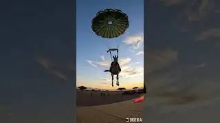 Army Zebra 🦓 get parachuted #army #military #plane #zebra #parachute #crazy #adrenalinerush