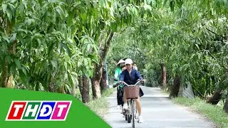 Bình yên dưới những góc vườn | THDT